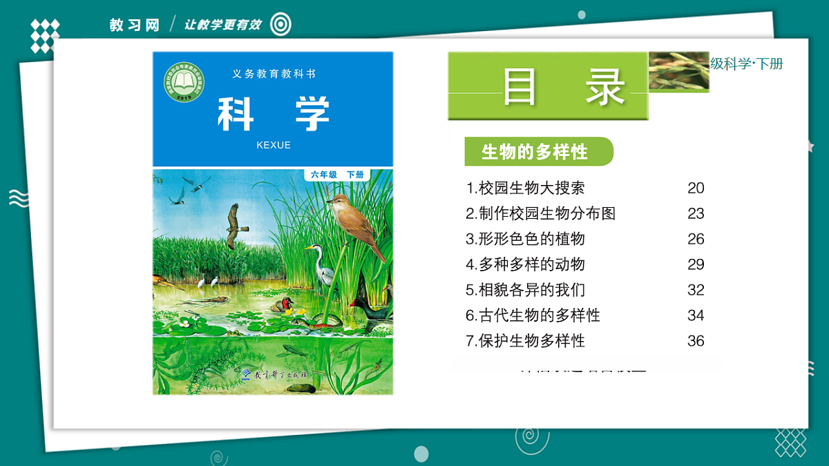 六年级下册科学2.6古代生物的多样性 教学ppt课件（共33张PPT）教科版（2017）第1页
