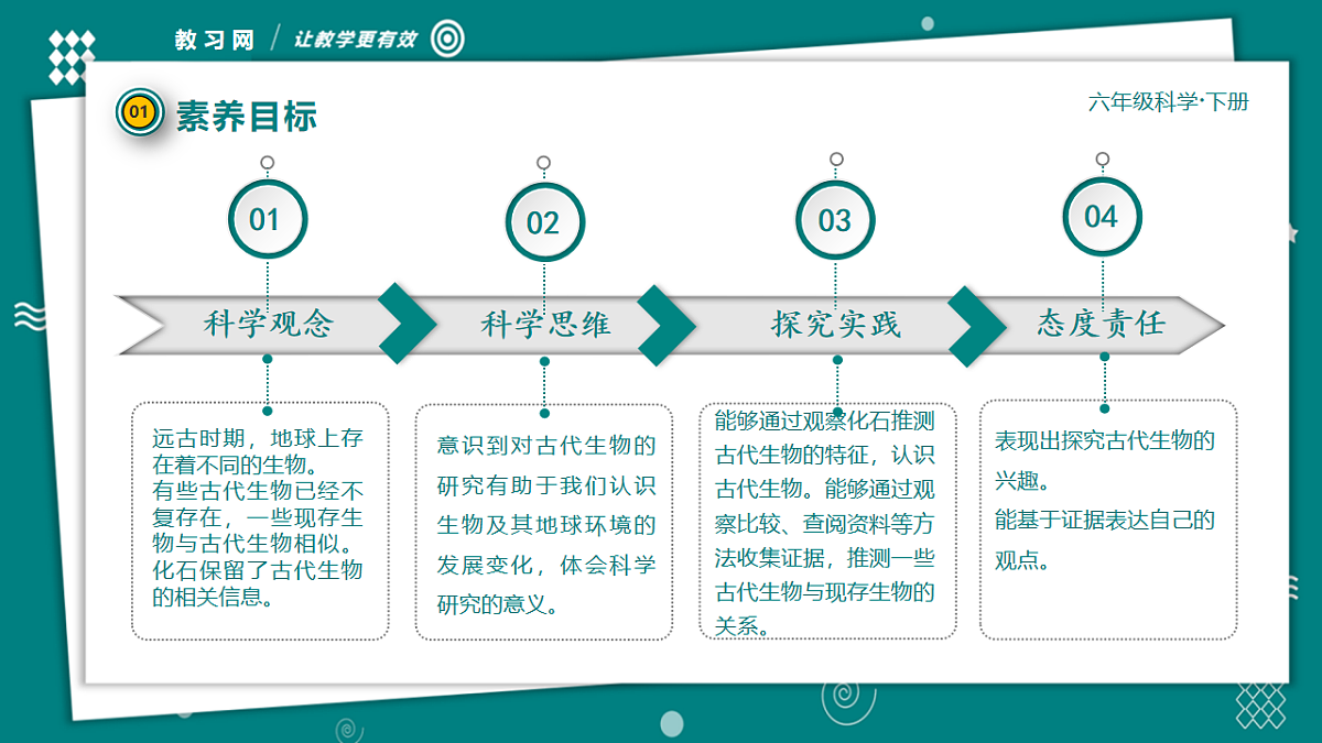 六年级下册科学2.6古代生物的多样性 教学ppt课件（共33张PPT）教科版（2017）第5页
