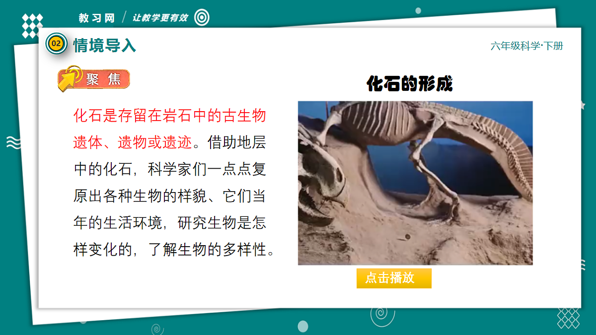 六年级下册科学2.6古代生物的多样性 教学ppt课件（共33张PPT）教科版（2017）第7页
