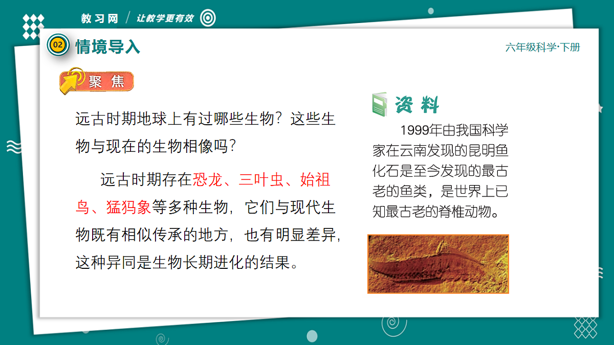 六年级下册科学2.6古代生物的多样性 教学ppt课件（共33张PPT）教科版（2017）第8页