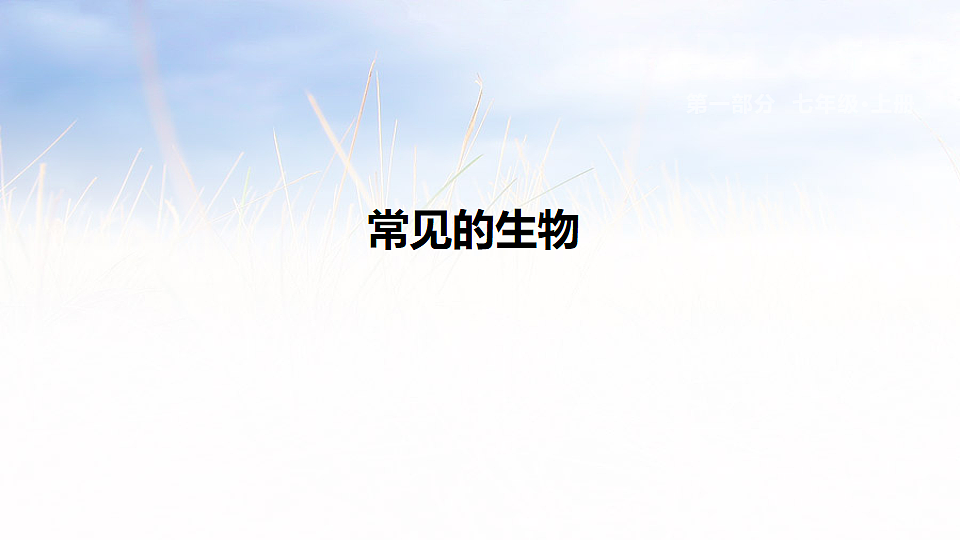 17894819第1页