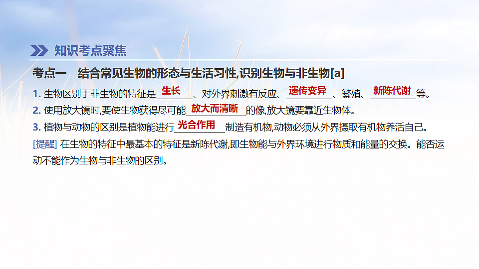 17894819第2页