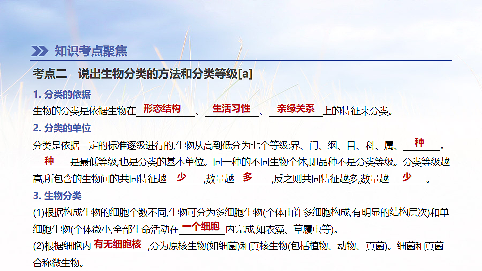 17894819第3页