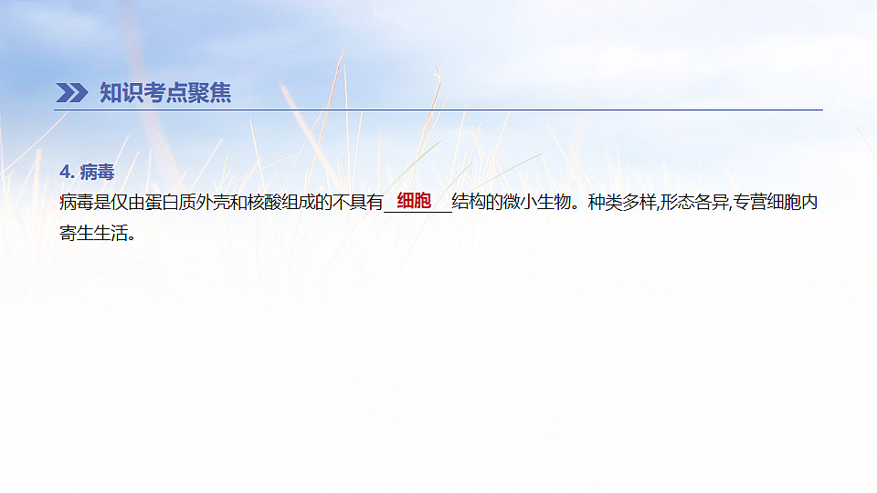 17894819第4页