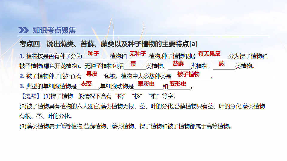 17894819第6页
