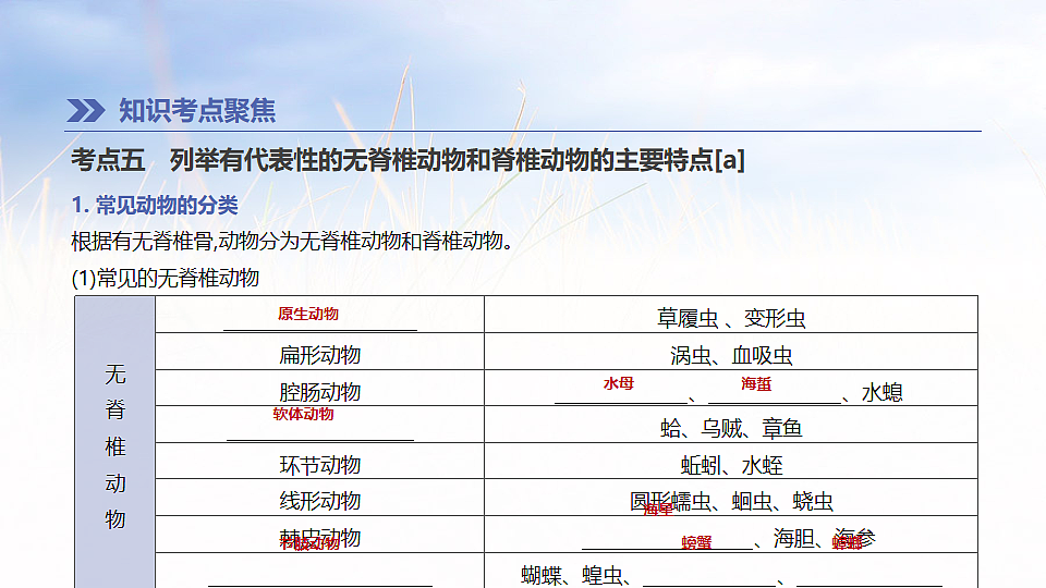 17894819第7页