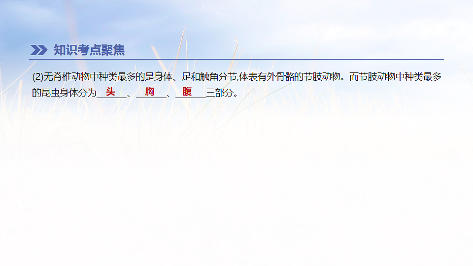 17894819第8页