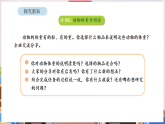 新北师大版（2024）数学三年级下册 综合实践 制作动物体重“说明书” 活动五 动物体重介绍会（课件）