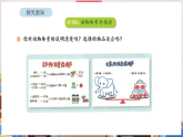 新北师大版（2024）数学三年级下册 综合实践 制作动物体重“说明书” 活动五 动物体重介绍会（课件）