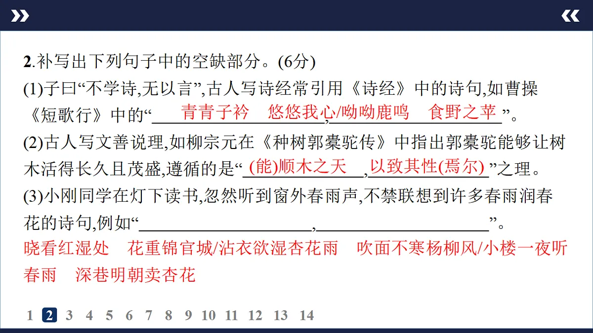 17895238第4页