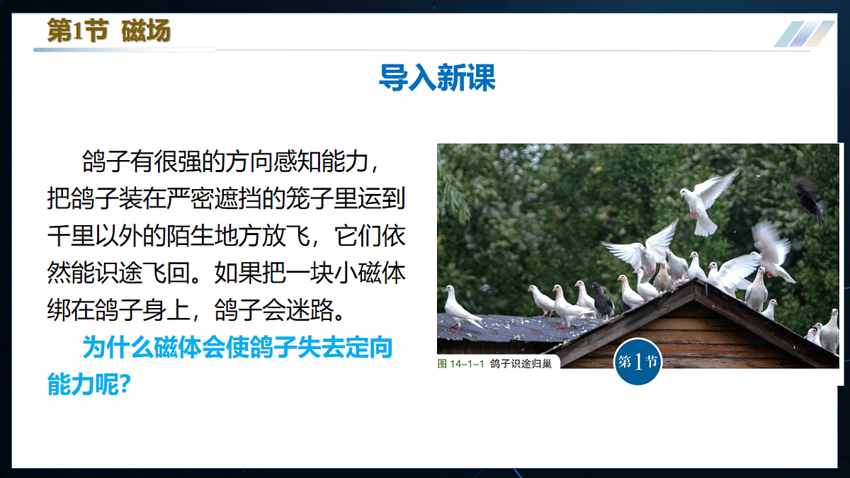 14.1 磁场（优质课件）第2页