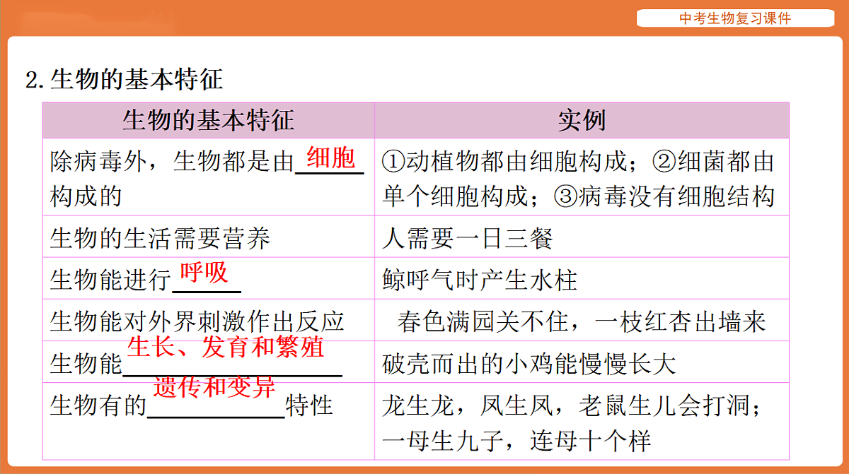 17895401第3页