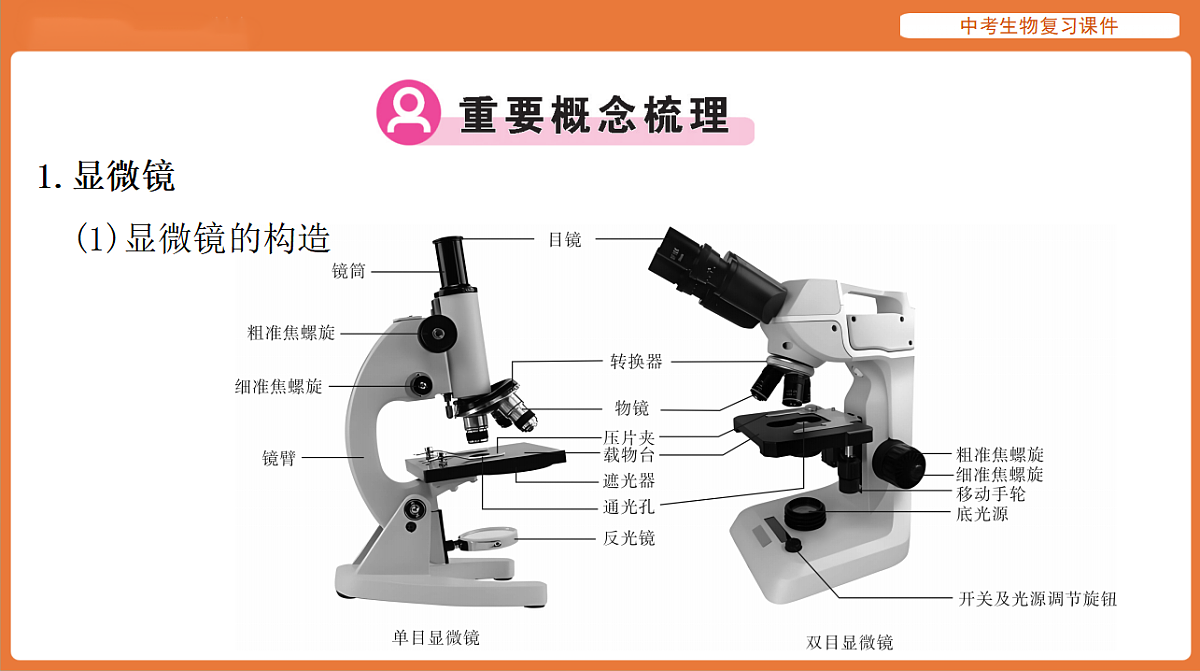 17895402第2页