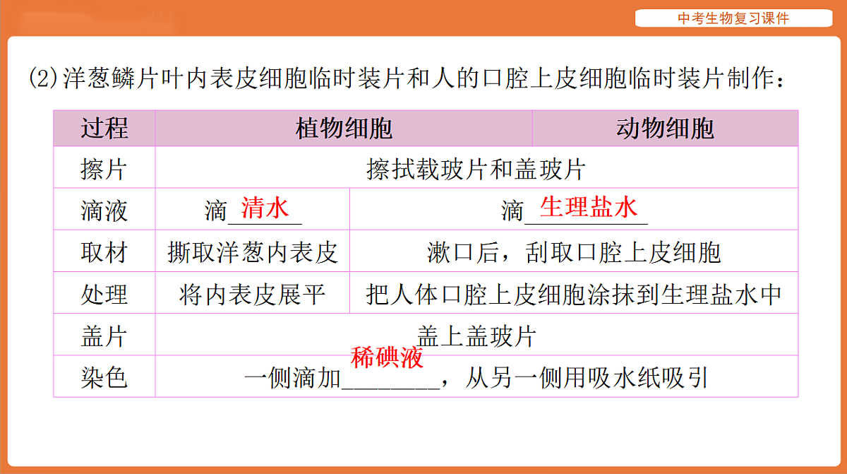 17895402第6页
