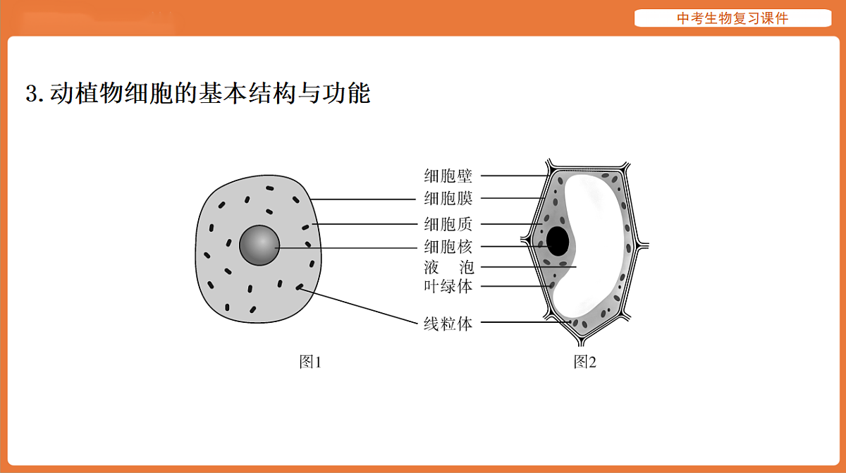 17895402第8页
