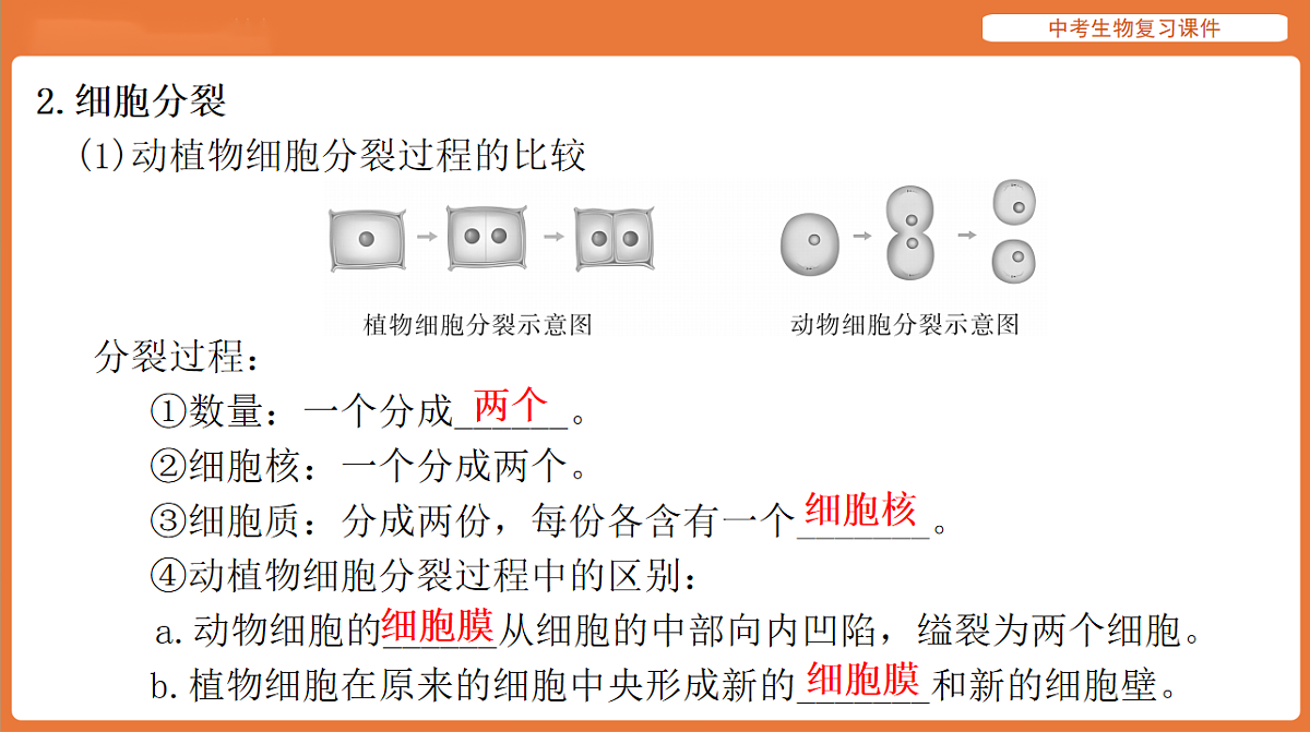 17895403第3页