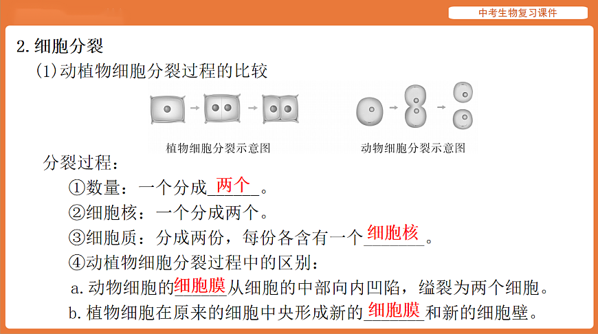 17895403第3页