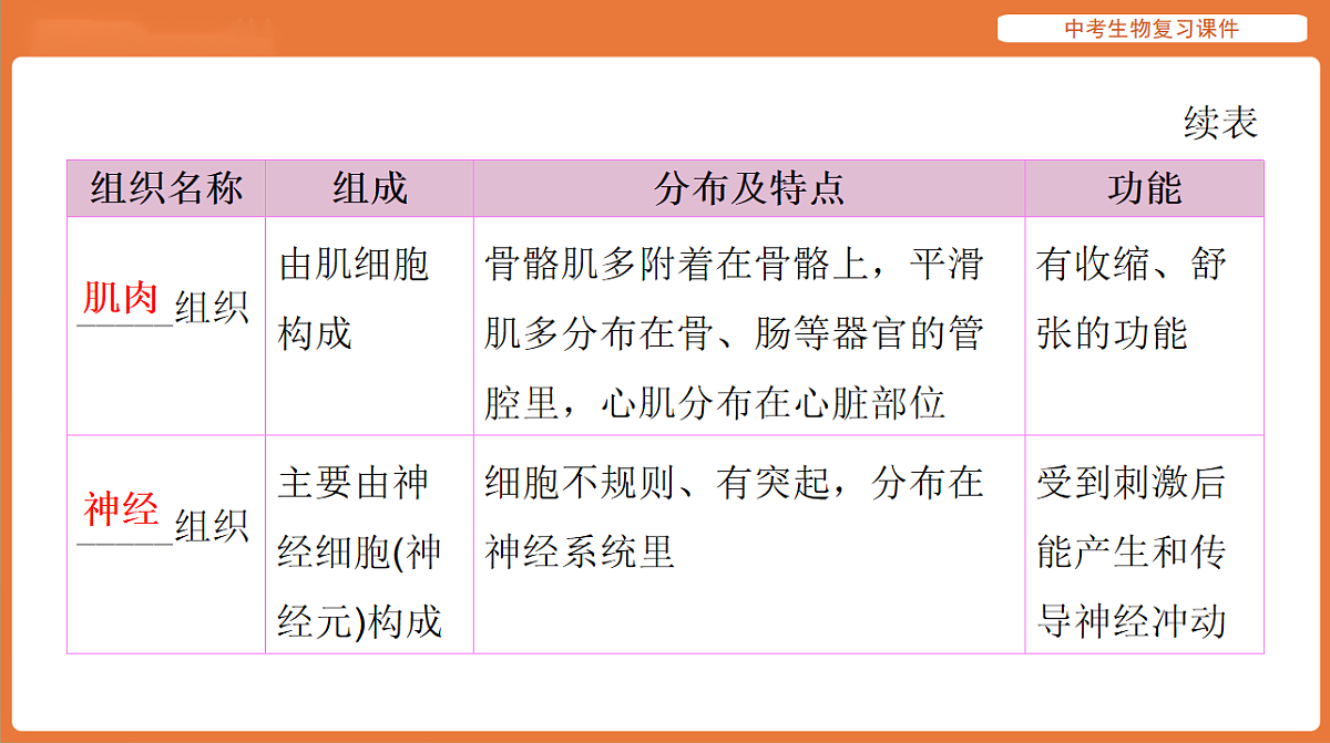 17895403第7页