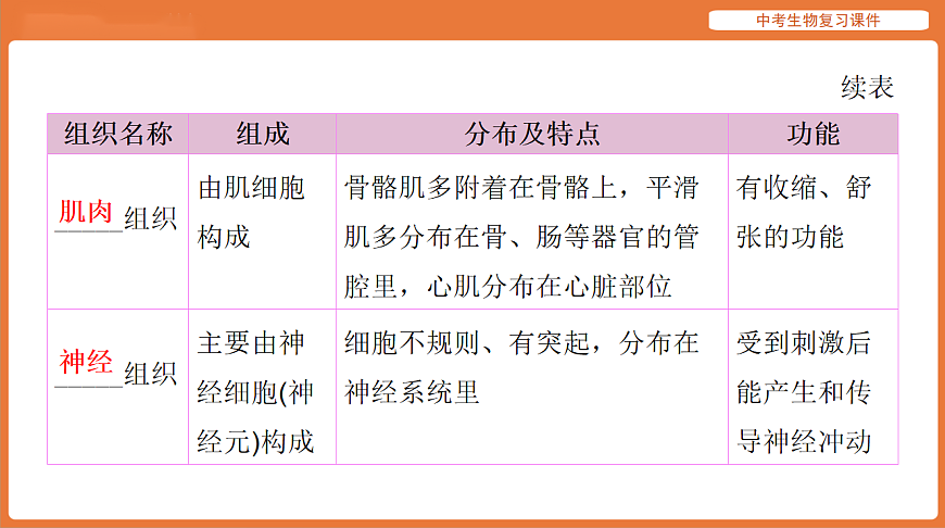 17895403第7页
