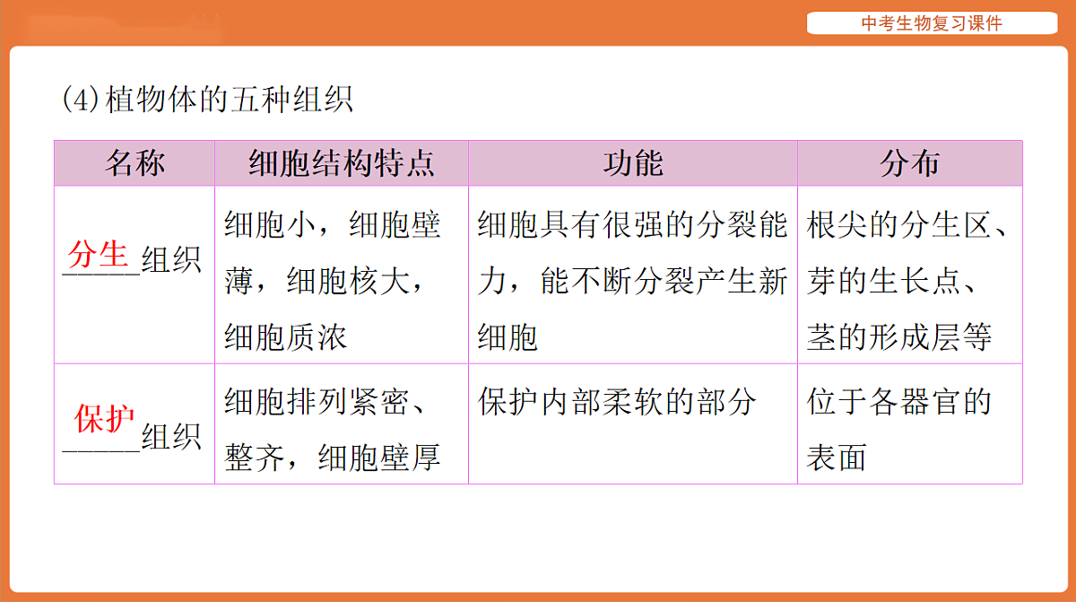 17895403第8页