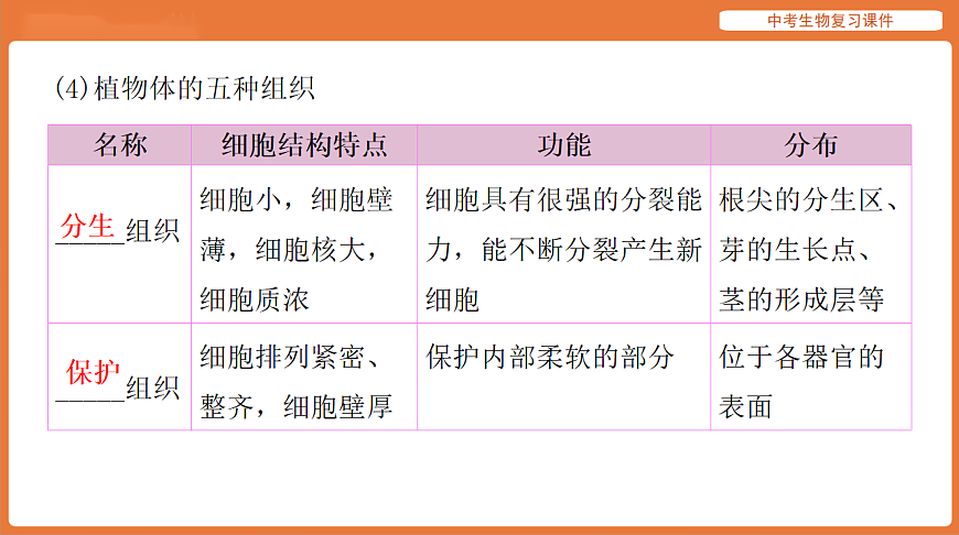 17895403第8页