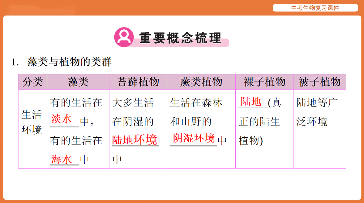 17895404第2页