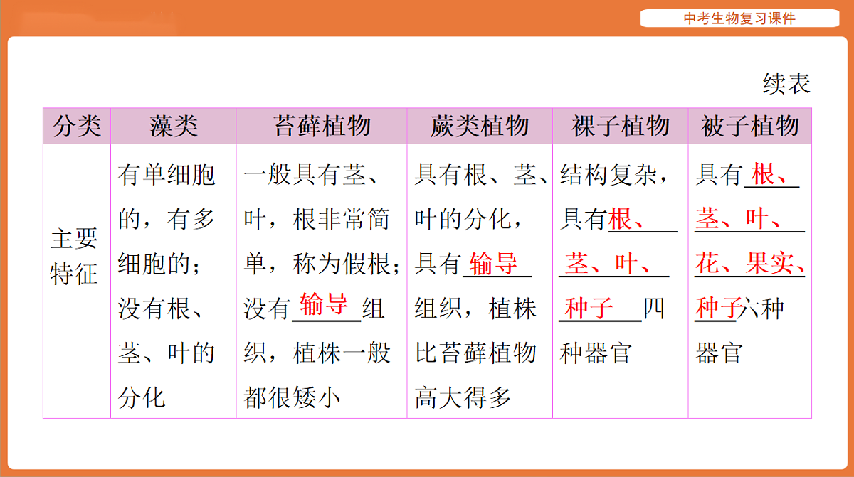 17895404第3页