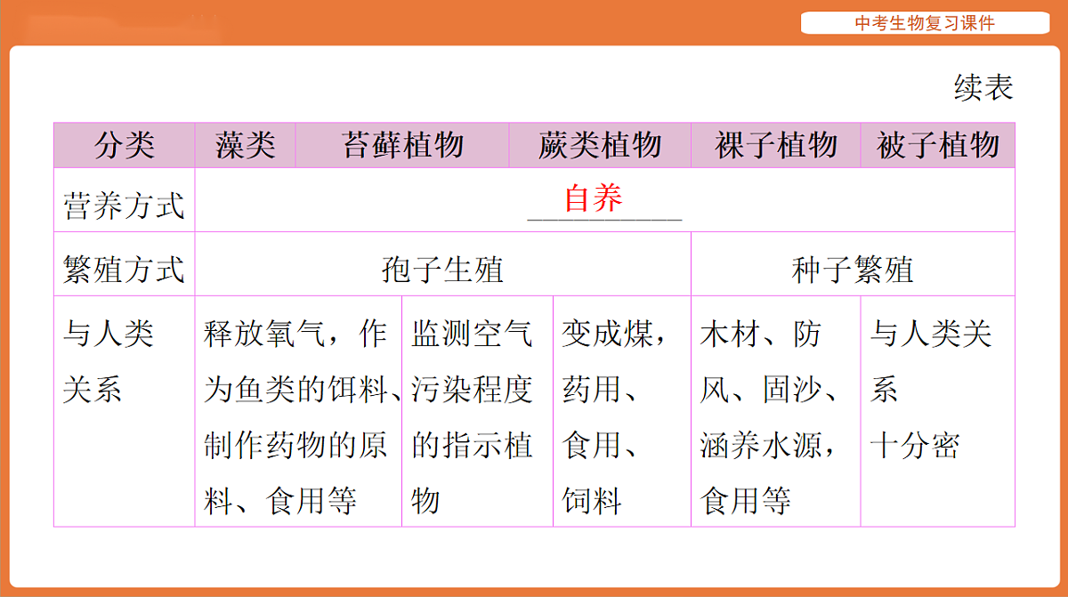 17895404第4页