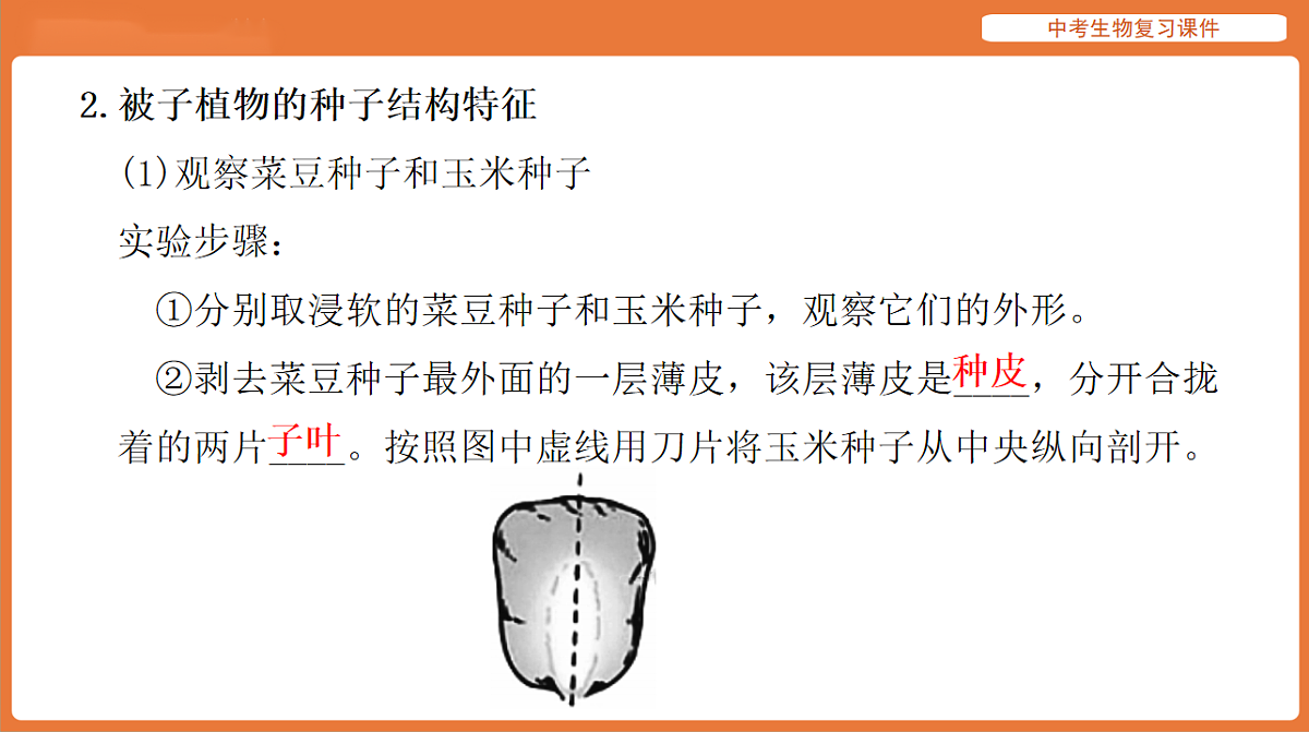 17895404第6页