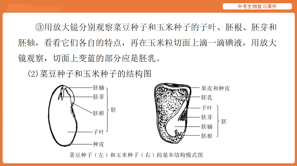 17895404第7页