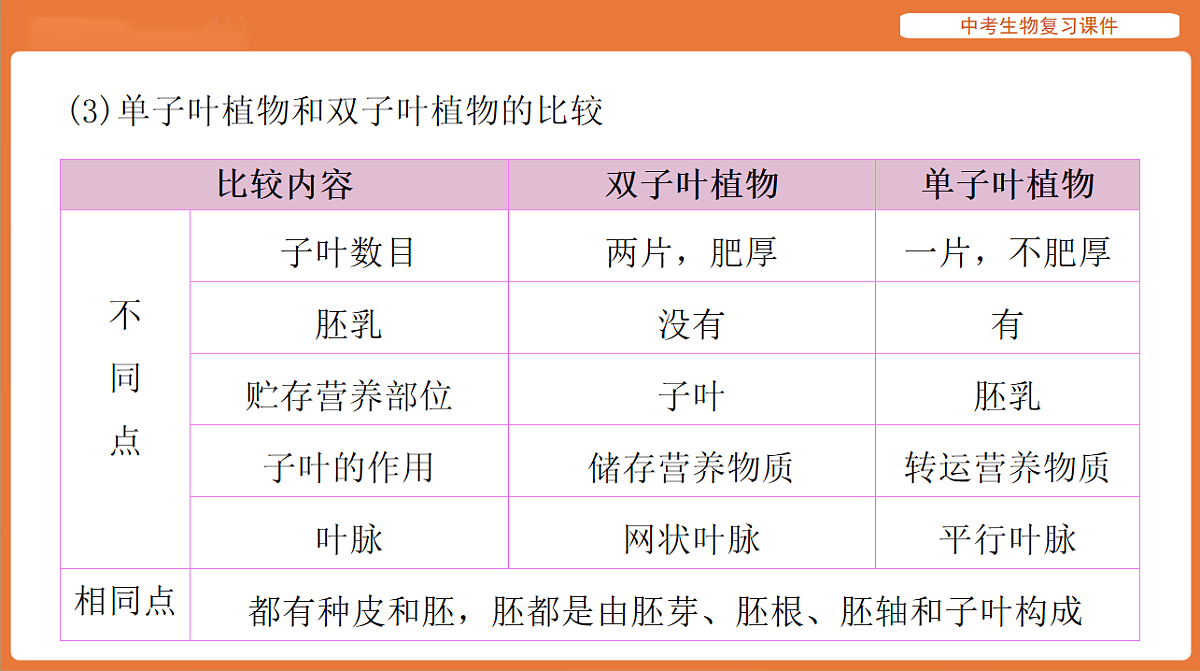 17895404第8页