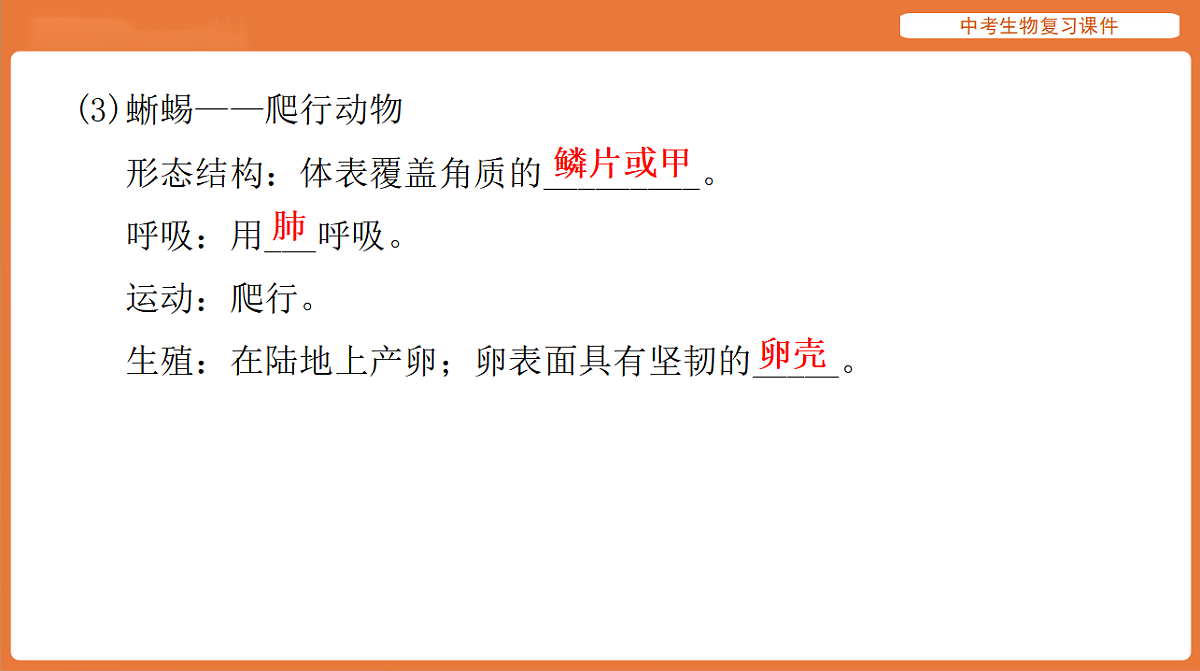 17895405第8页