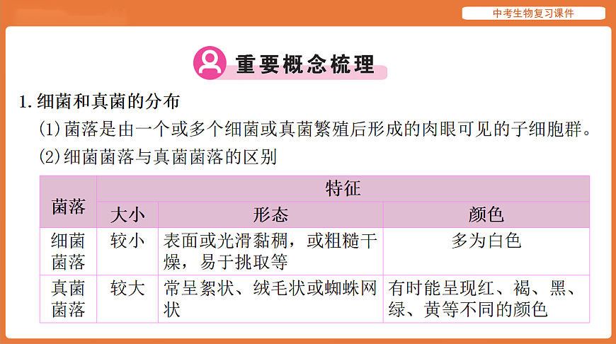 17895406第3页