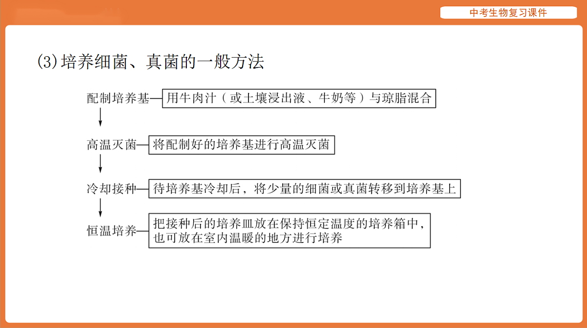 17895406第4页
