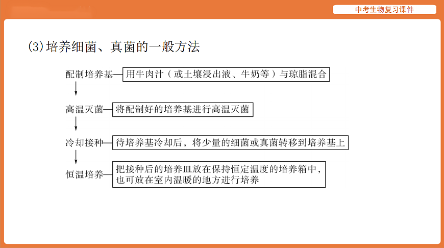 17895406第4页