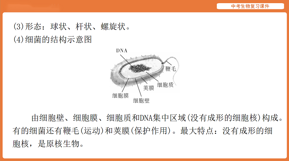 17895406第6页