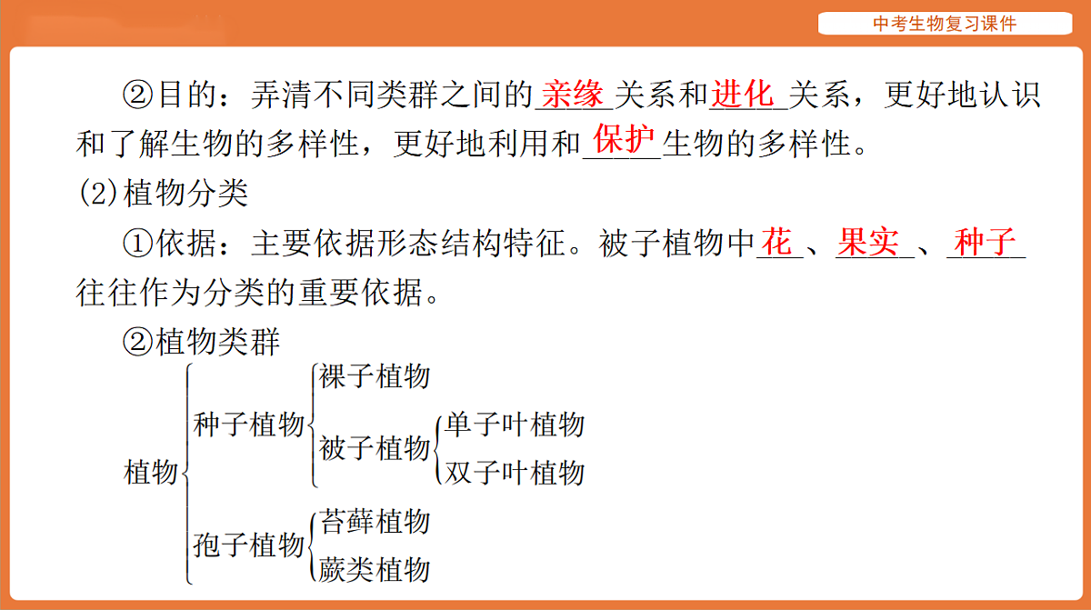 17895407第4页