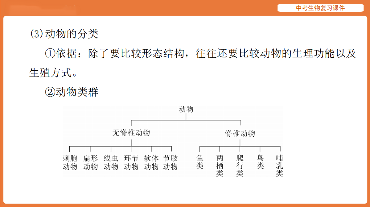 17895407第5页