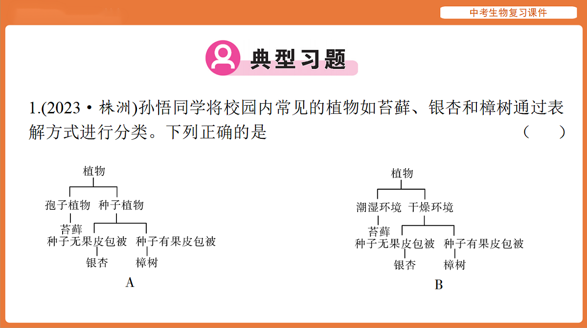 17895407第8页