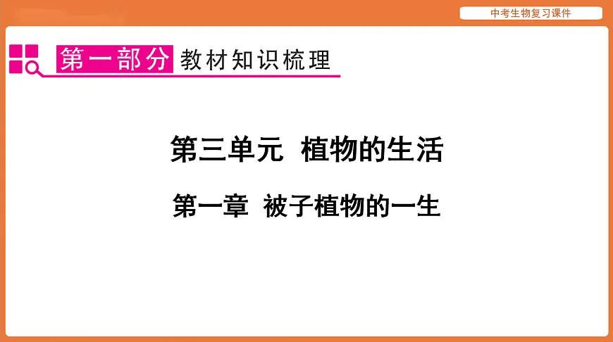 17895408第1页