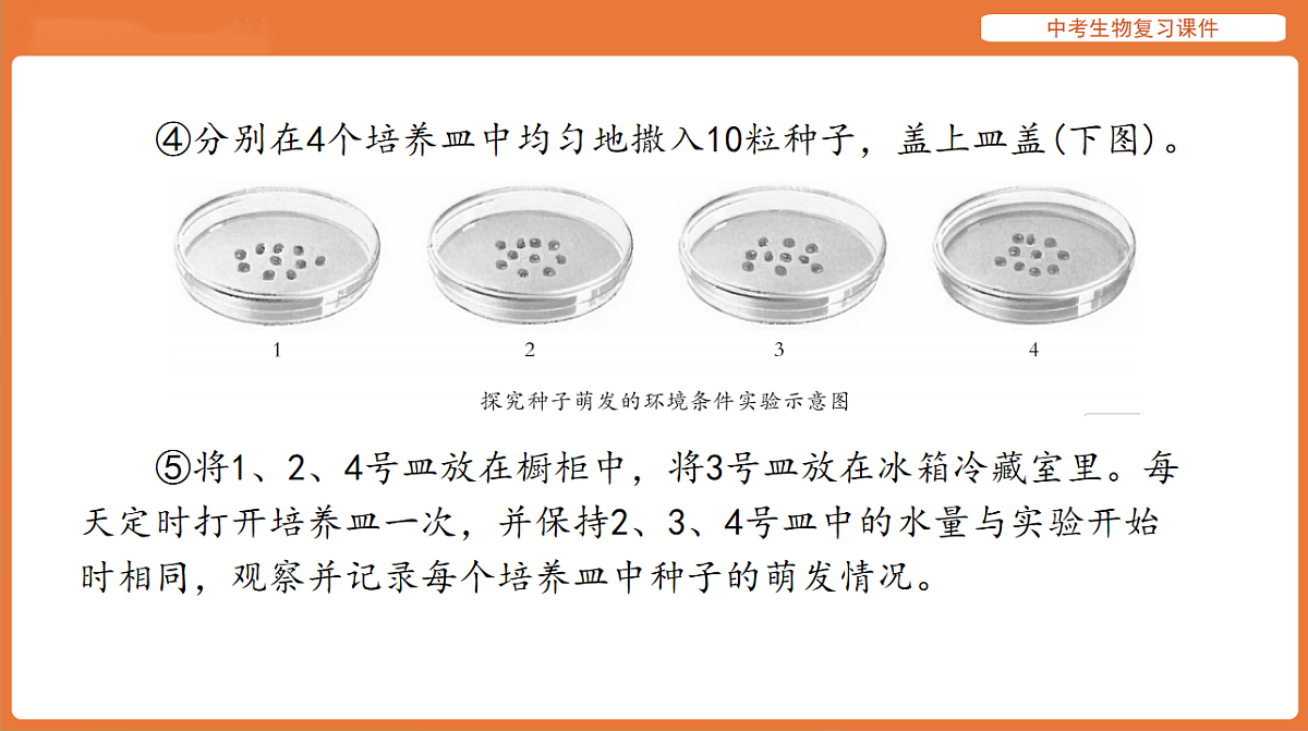 17895408第5页