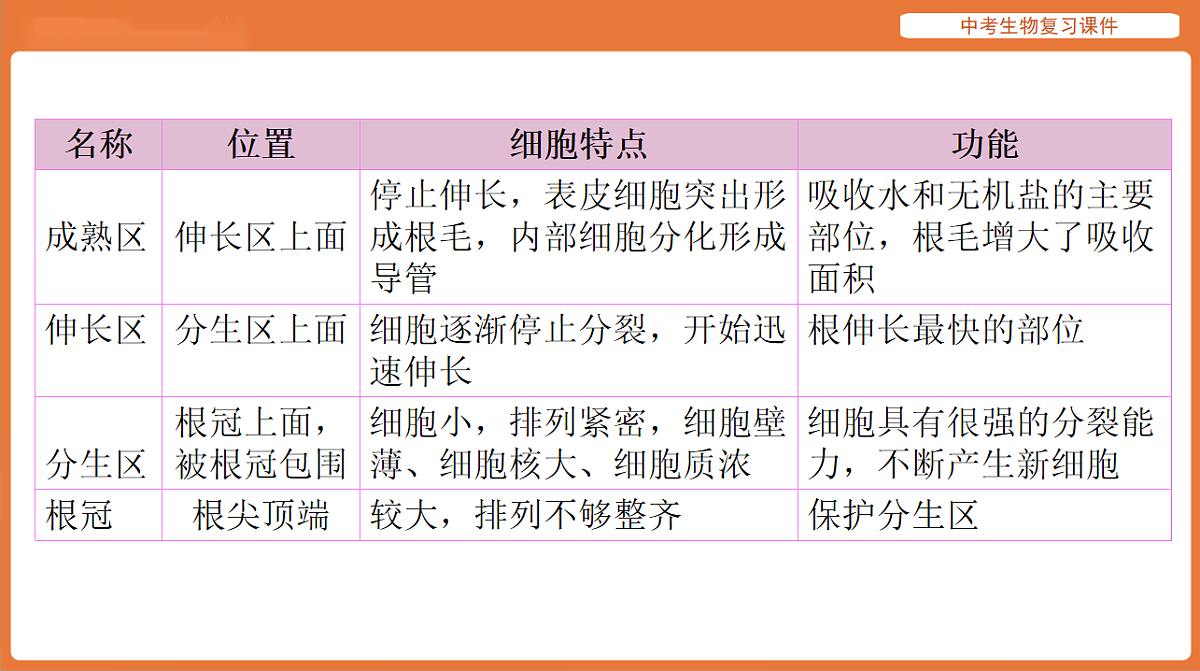 17895408第7页