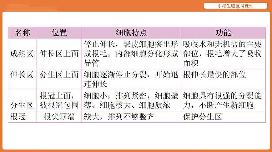 17895408第7页