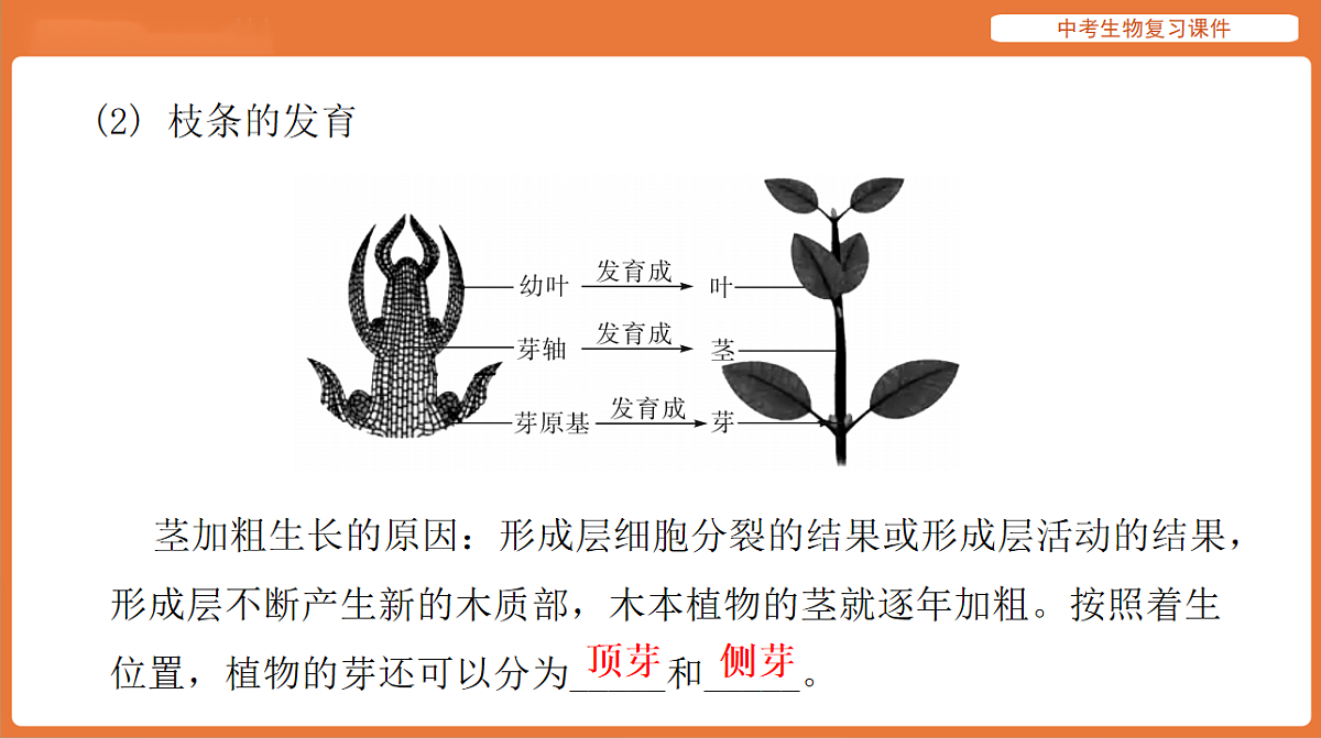 17895408第8页