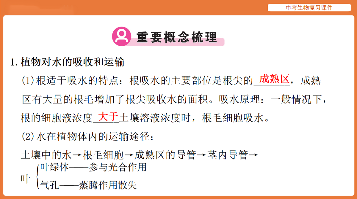 17895409第2页