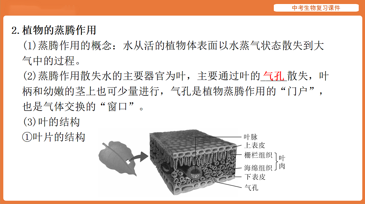 17895409第3页
