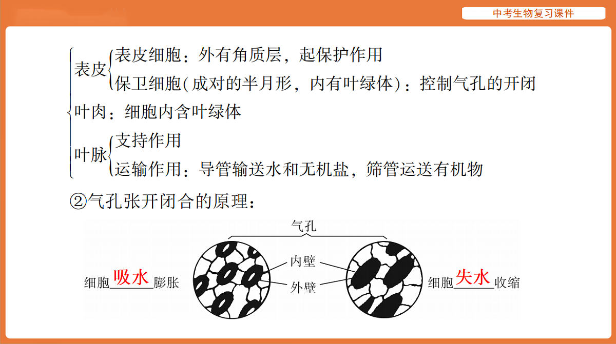 17895409第4页