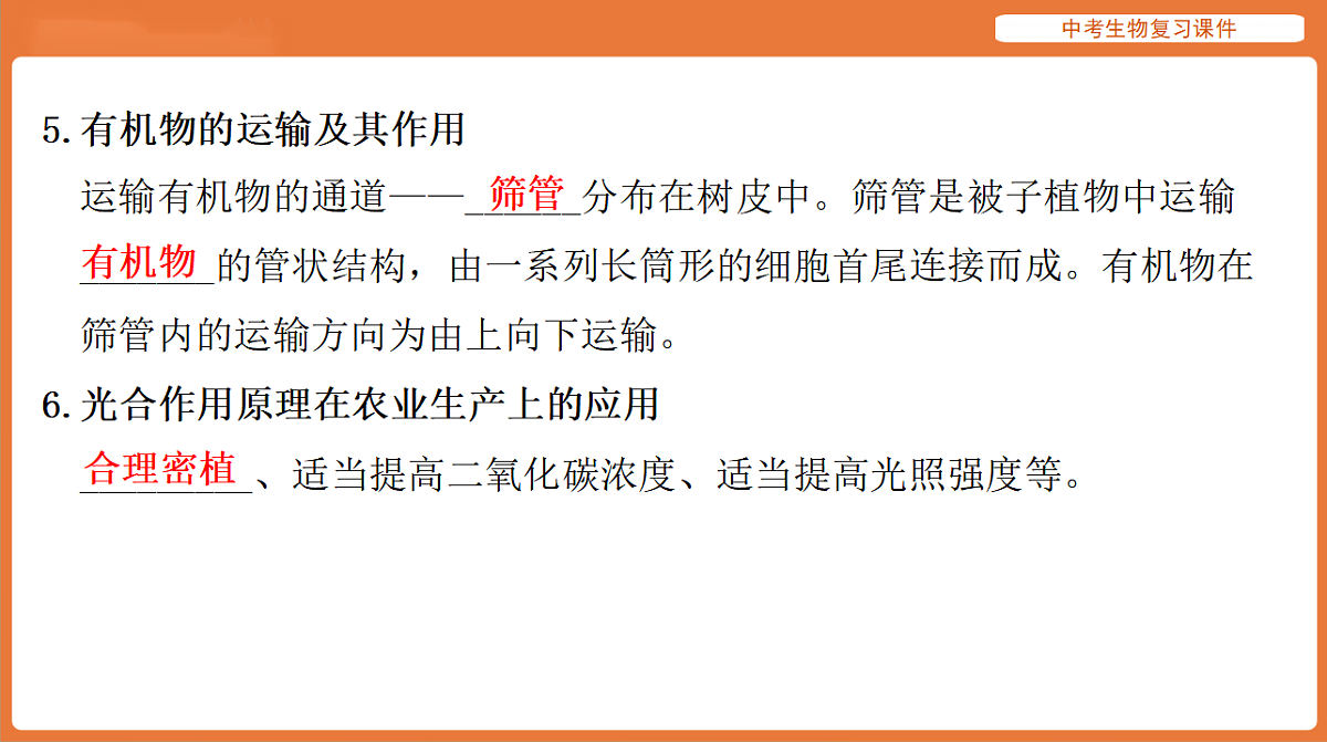 17895409第7页