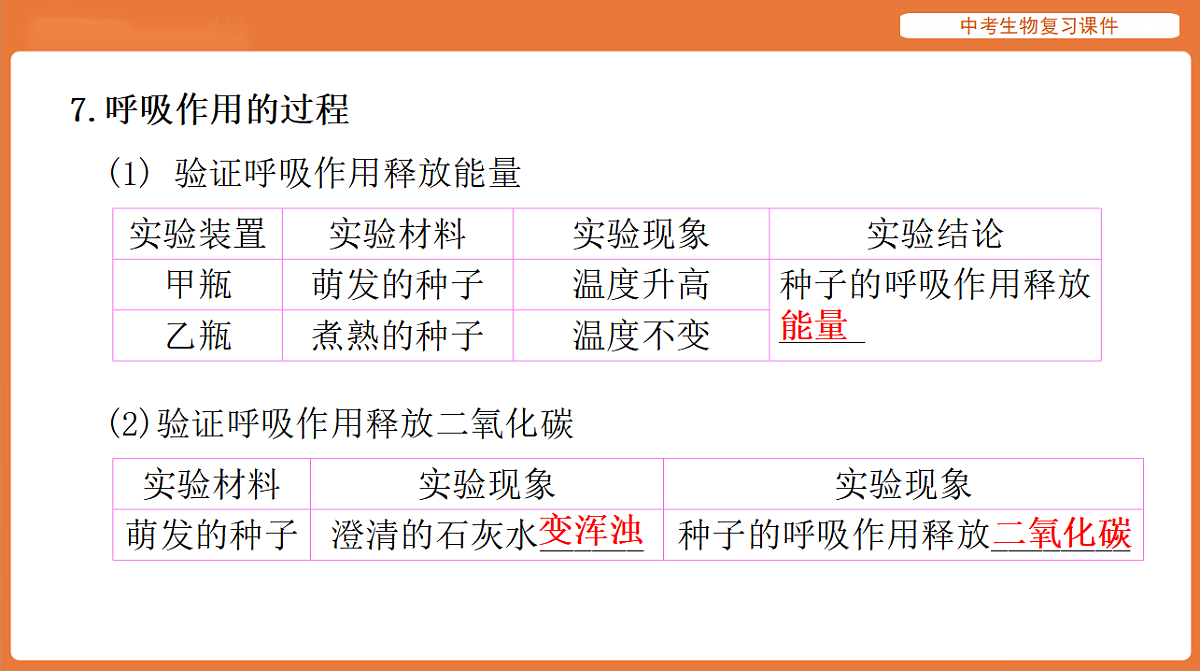 17895409第8页