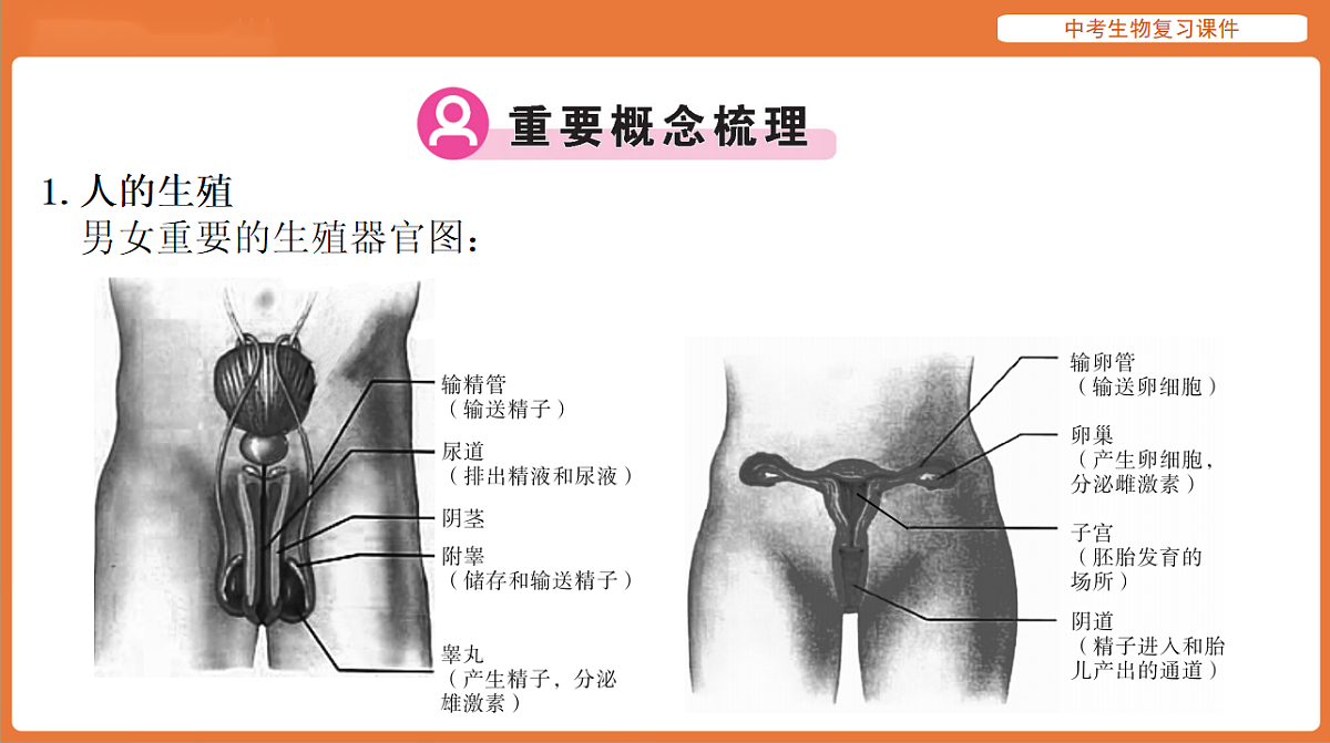 17895410第2页